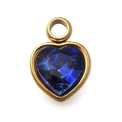 304 Stainless Steel with Rhinestone Pendants STAS-Q346-01G-02-1