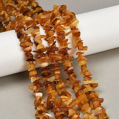 Natural Amber Chip Beads Strands X-G-E271-81-01-1