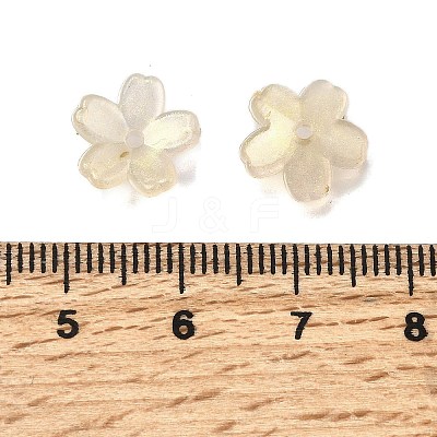 Acrylic Bead Caps OACR-I024-01A-1