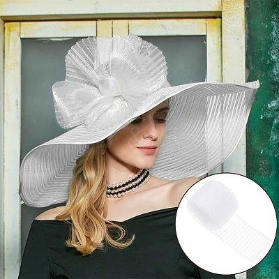 5 Yards Polyester Pleated Mesh Ribbon OCOR-BC0006-81A-1
