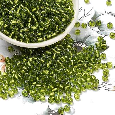 6/0 Round Silver Lined Round Hole Glass Seed Beads X-SEED-A005-4mm-24-1