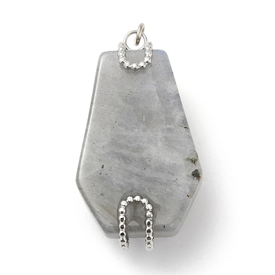 Natural Labradorite Pendants G-G870-09P-01-1