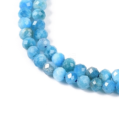 Natural Apatite Beads Strands X-G-P542-A06-02-1