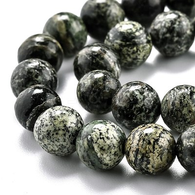 Natural Green Zebra Jasper Beads Strands G-O199-05B-1