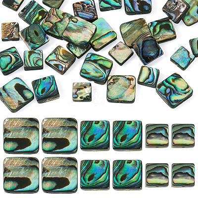 30Pcs 3 Styles Natural Paua Shell Beads BSHE-TA0001-37-1