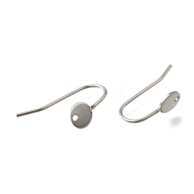 304 Stainless Steel Earring Hooks STAS-B087-09A-P-1