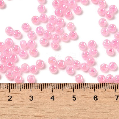 Glass Seed Beads SEED-H002-H-1309-1