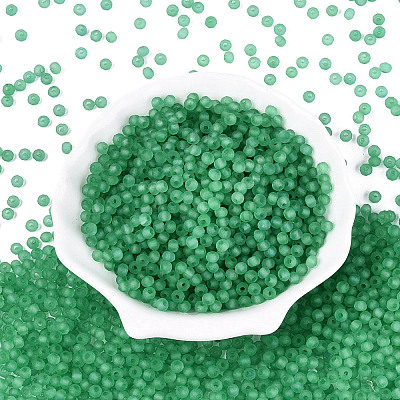 FGB Frosted Transparent Glass Seed Beads SEED-N013-04A-09-1