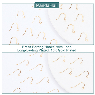 100Pcs 2 Style Brass Earring Hooks KK-PH0003-64-1