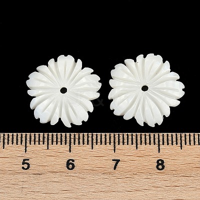 Natural Freshwater Shell Pendants SHEL-K006-43-1