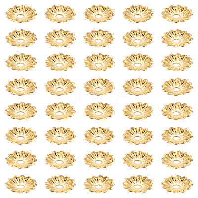 40Pcs Brass Bead Caps KK-LP0001-55-1