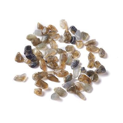 Natural Labradorite Chip Beads G-M364-15-1