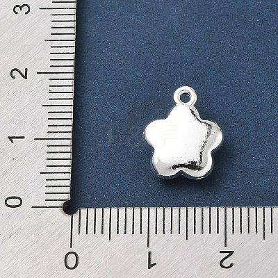 Alloy Charms AL-CBA5B8E-19S-1