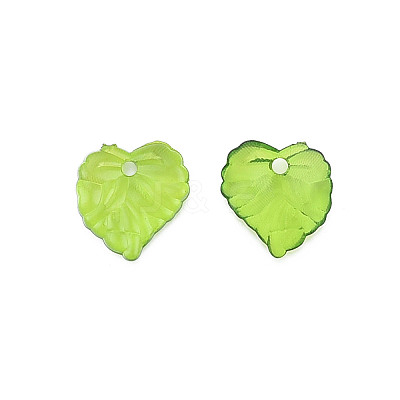Transparent Acrylic Pendants X1-TACR-T012-05-1