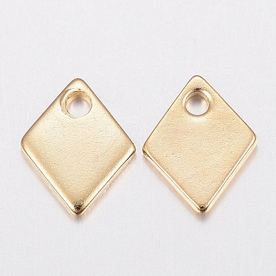 304 Stainless Steel Charms STAS-H436-53-1