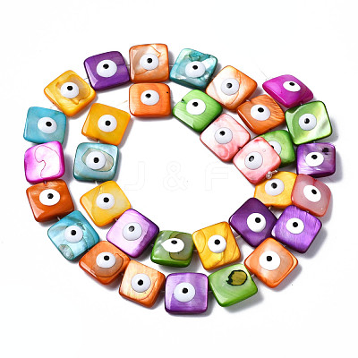 Natural Freshwater Shell Beads Strands SHEL-S278-014-1
