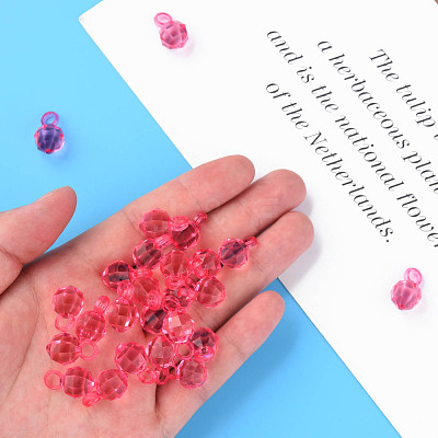 Transparent Acrylic Pendants MACR-S373-125-B05-1