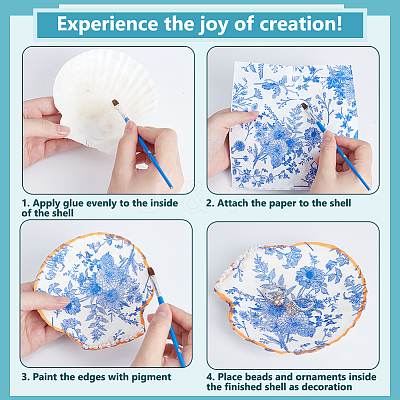 Natural Shell Display Decorations DIY-NB0014-92-1
