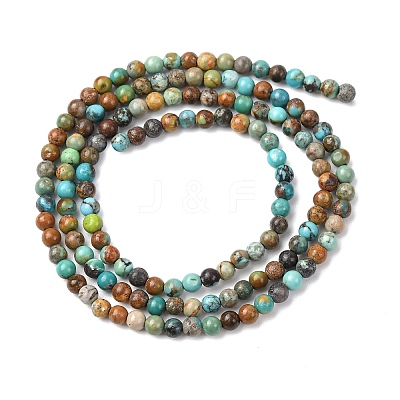 Natural African Turquoise(Jasper) Beads Strands G-K366-G01-3mm-1