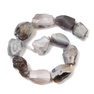 Raw Rough Natural Botswana Agate Beads Strands G-S396-04A-1