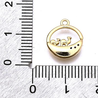 Brass Micro Pave Clear Cubic Zirconia Pendants KK-G530-01B-G-1