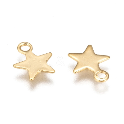 304 Stainless Steel Charms STAS-F159-43G-1