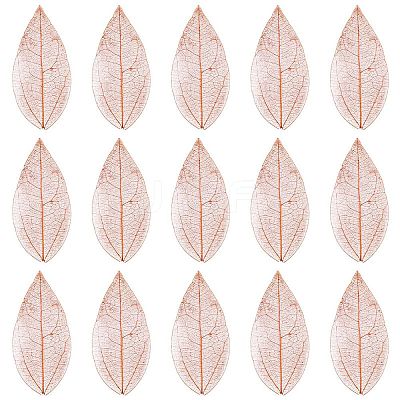 100Pcs Dried Flower Leaf Craft Supplies AJEW-CP0009-41C-1