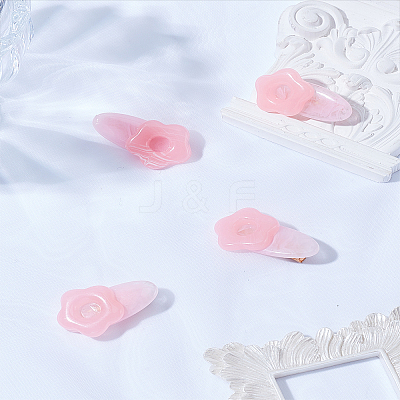 4Pcs Acrylic Alligator Hair Clips OHAR-LP0002-17A-1