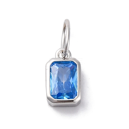 925 Sterling Silver Cubic Zirconia Charms STER-NH0014-01P-09-1