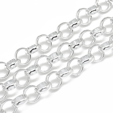 3.28 Feet Unwelded Aluminum Rolo Chains X-CHA-S001-078-1