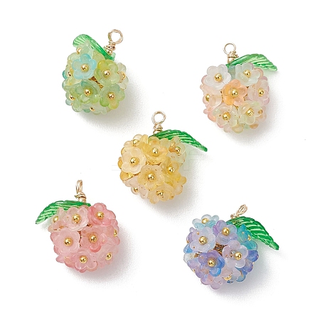 Transparent Acrylic Pendants PALLOY-JF04847-1