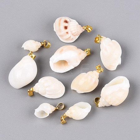 Brass & Natural Spiral Shell Pendants SHEL-Q029-13KCG-1