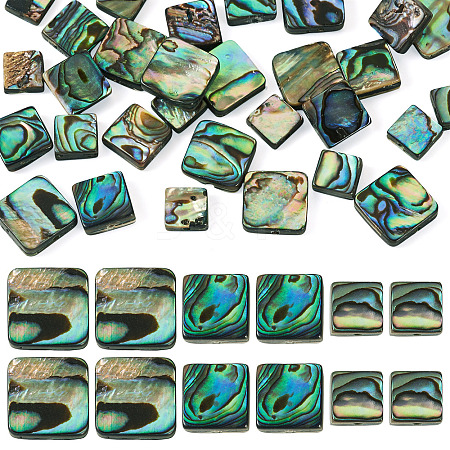 30Pcs 3 Styles Natural Paua Shell Beads BSHE-TA0001-37-1