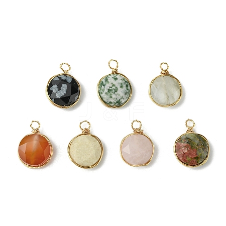 Natural Gemstone Pendants PALLOY-JF03175-02-1