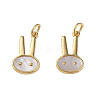 Natural Shell Pendants KK-N233-232-2