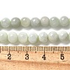 Natural Myanmar Jadeite Beads Strands G-L595-C01-01A-5