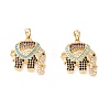 Brass Micro Pave Colorful Cubic Zirconia Pendants ZIRC-Z019-14G-NR-2