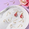 SHEGRACE Brass Earring Hooks XGR0138G-154G-5