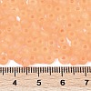 6/0 Luminous Glass Seed Beads X1-SEED-NH0001-01D-5