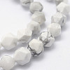 Natural Howlite Beads Strands G-F523-28-6mm-3