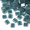 2-Hole Transparent Glass Seed Beads SEED-S023-29C-05-1