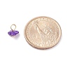 Natural Chip Dyed Shell Charms PALLOY-JF01338-01-2