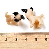 Handmade Lampwork Home Decorations LAMP-K039-18-3