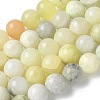 Natural New Jade Beads Strands G-F591-16-10MM-2