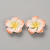 Two Tone Resin Cabochons LS-RESI-WH20010-01D-1