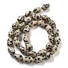 Natural Dalmatian Jasper Beads Strands G-B106-A29-02-3