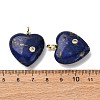 Dyed Natural Lapis Lazuli Pendants G-P588-01G-08-3