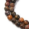 Natural Polychrome Jasper/Picasso Stone/Picasso Jasper Beads Strands G-E571-25A-4