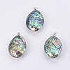 Abalone Shell/Paua Shell Big Pendants SSHEL-L008-15P-1