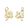 Rack Plating Brass Charms KK-F849-02G-1